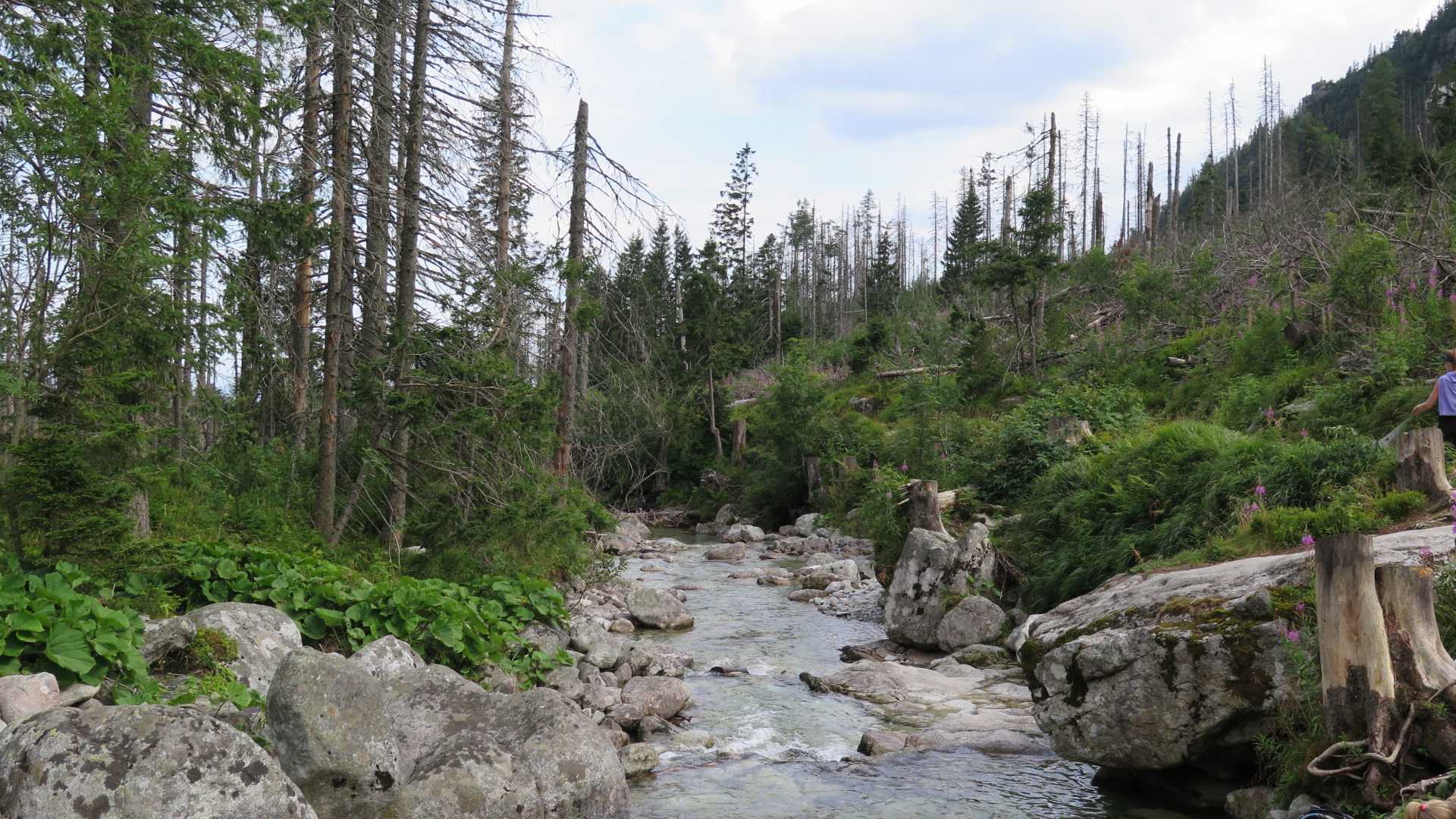 יורו טריפ - צ'כיה, פולין, סלובקיה ואוסטריה